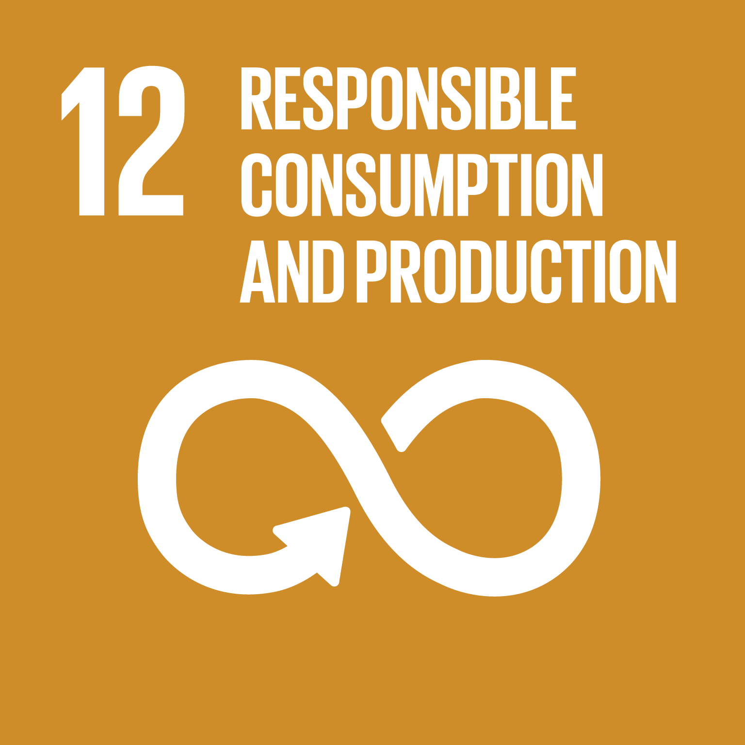 SDG 12 責任消費與生產標準圖示